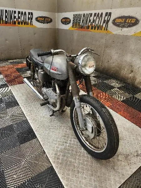 DOMINATOR