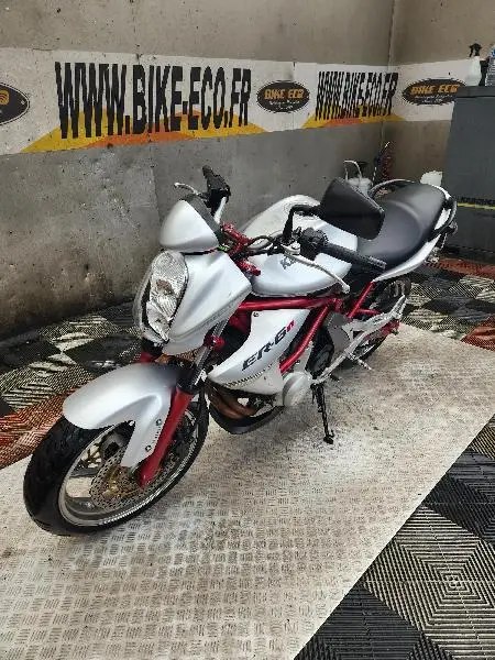 ER6
