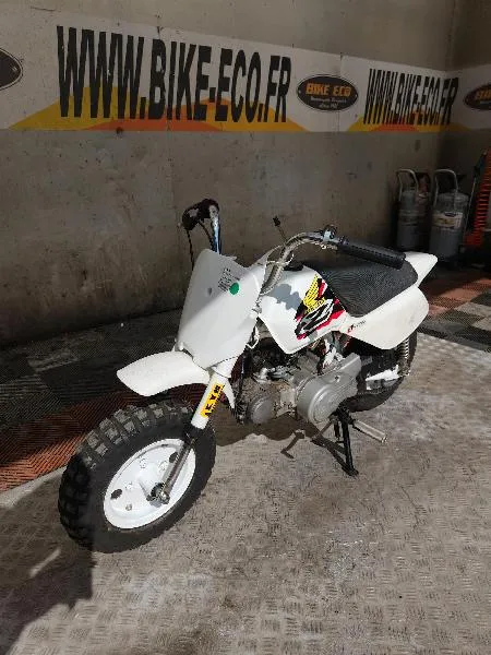 MONKEY 50
