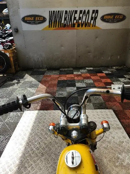 MONKEY 50
