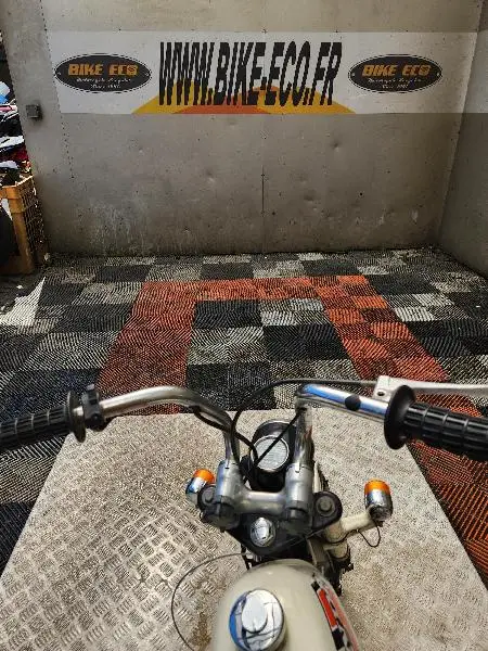 MONKEY 50