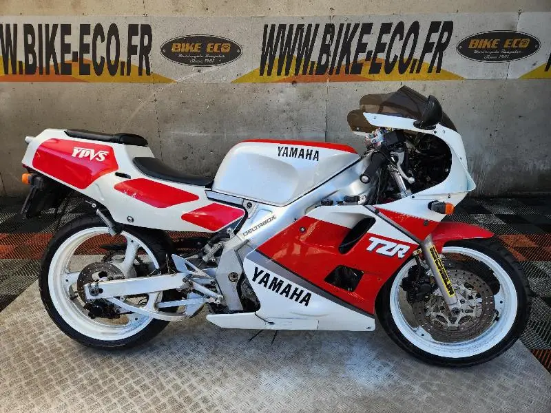 TZR 250