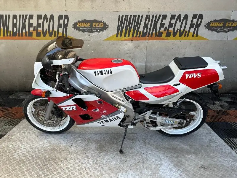 TZR 250