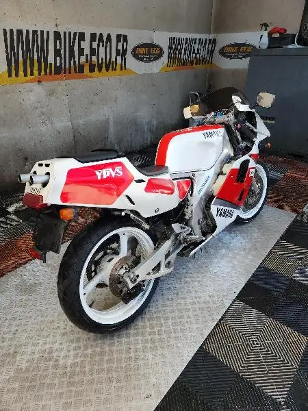 TZR 250