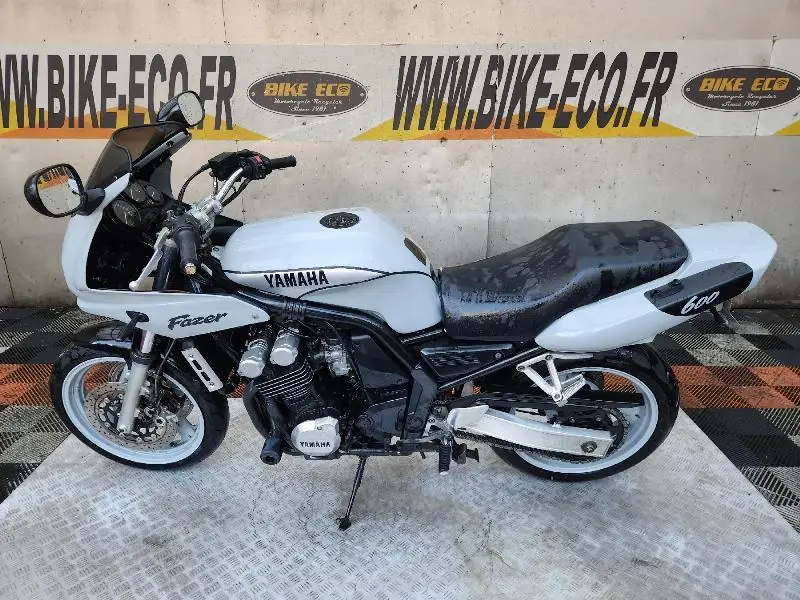 FZS FAZER