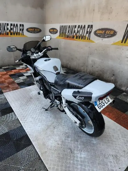 FZS FAZER