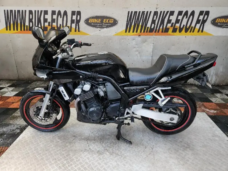 FZS FAZER