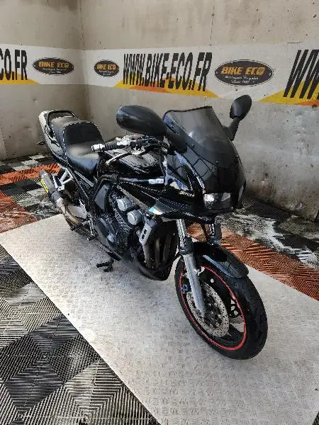 FZS FAZER