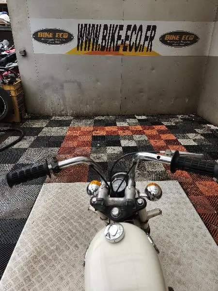 MONKEY 50