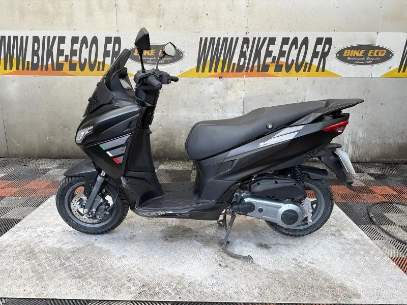 SXR 50