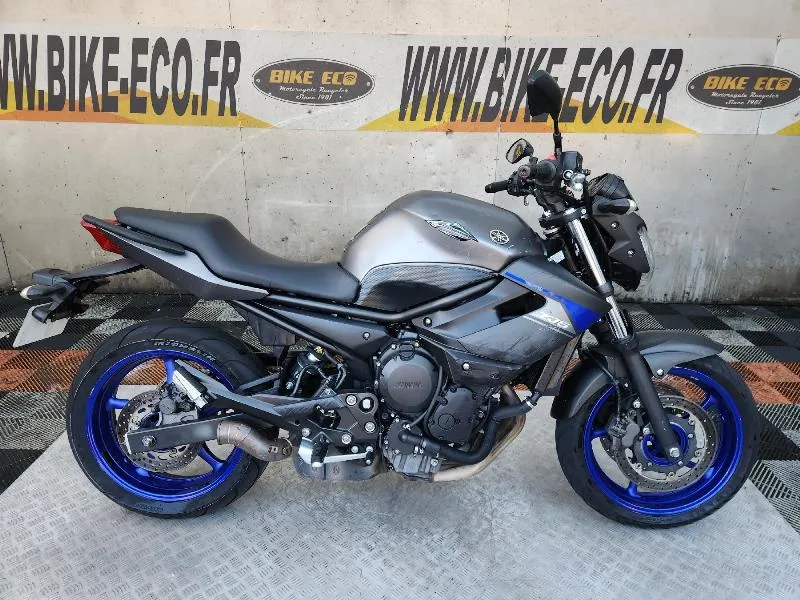 XJ6N
