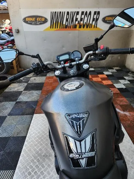 XJ6N