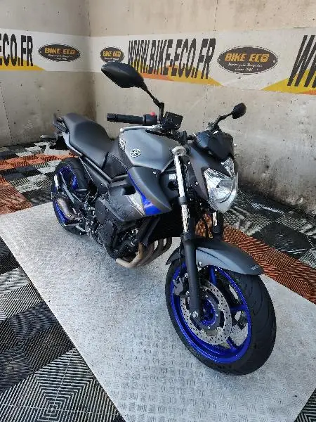 XJ6N