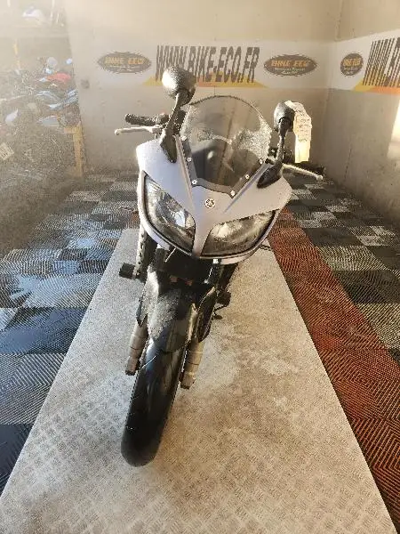 FZS FAZER 1000