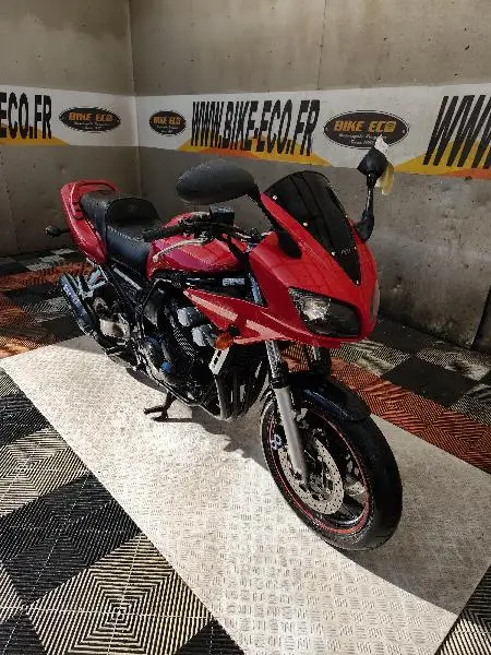 FZS FAZER