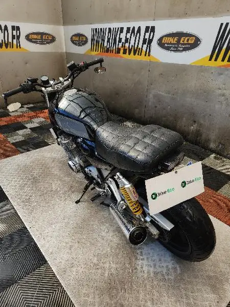 XJR 1300
