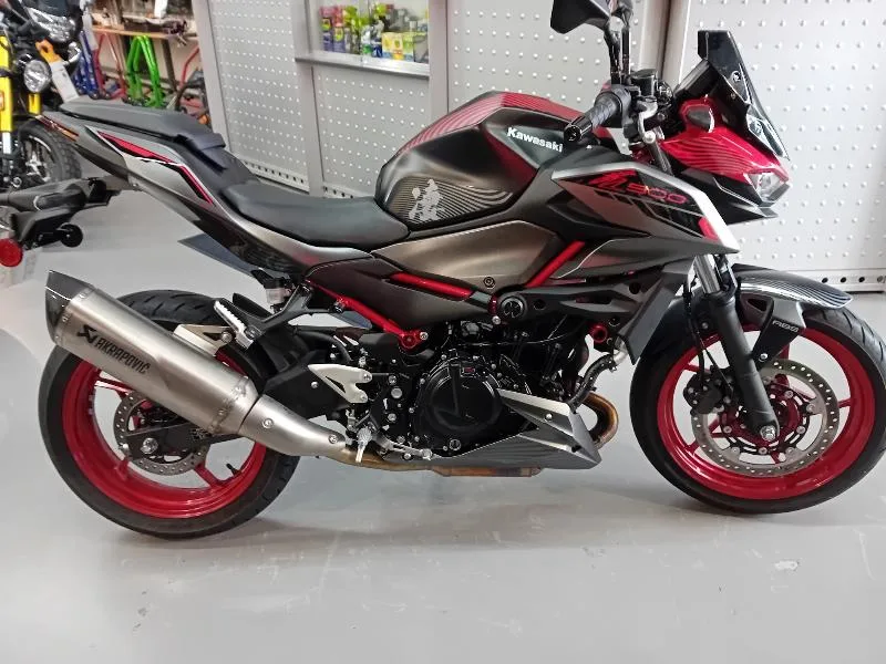 Z 500 Sugomi
