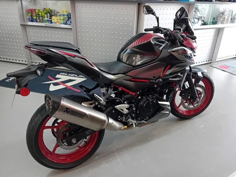 Z 500 Sugomi