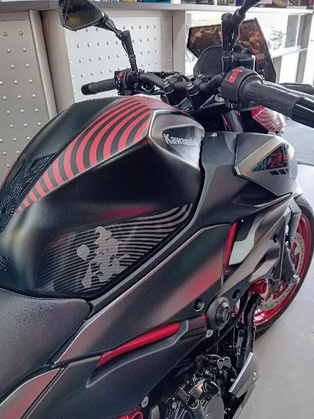 Z 500 Sugomi