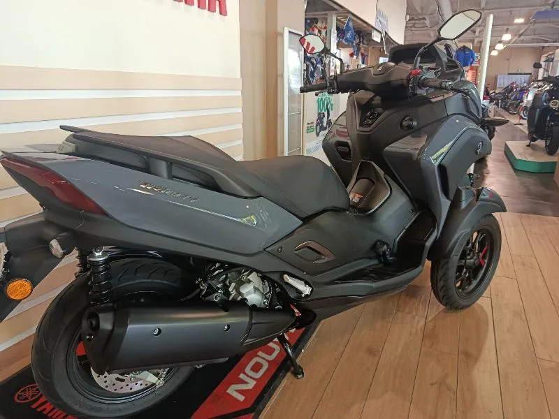 TRICITY 300
