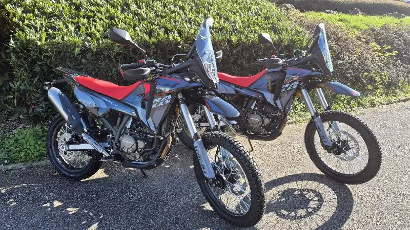 307 RALLY 2026