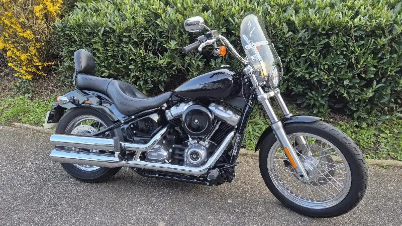 SOFTAIL STANDARD 1745 2020
