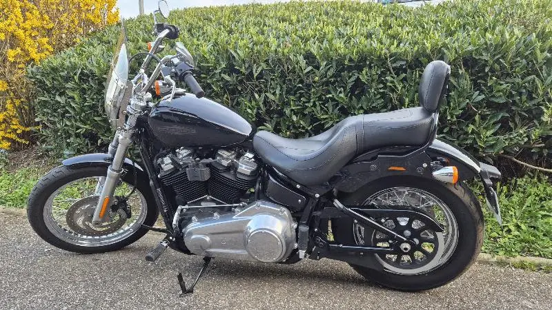 SOFTAIL STANDARD 1745