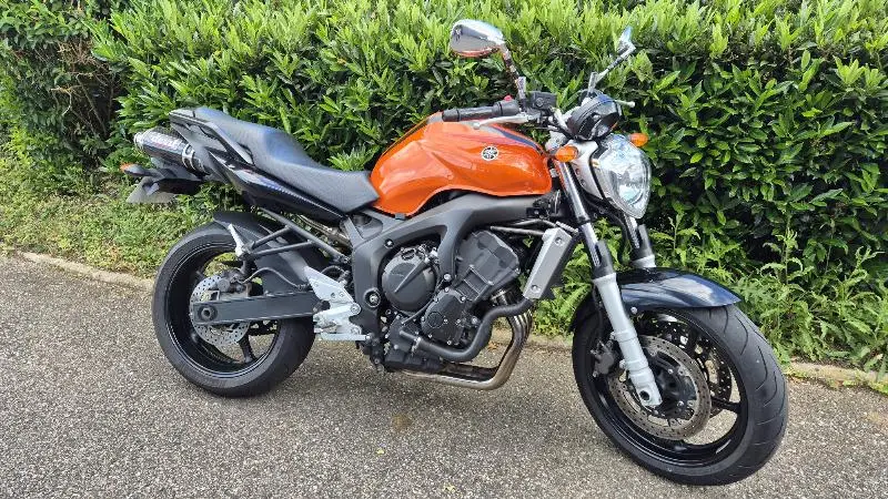 FZ6 