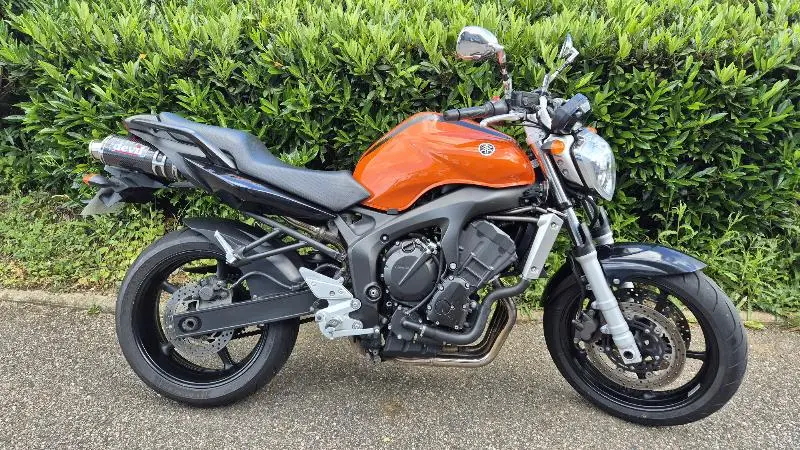 FZ6 