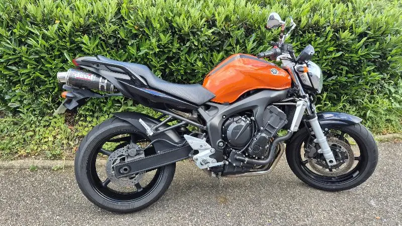 FZ6 