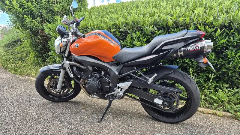 FZ6 