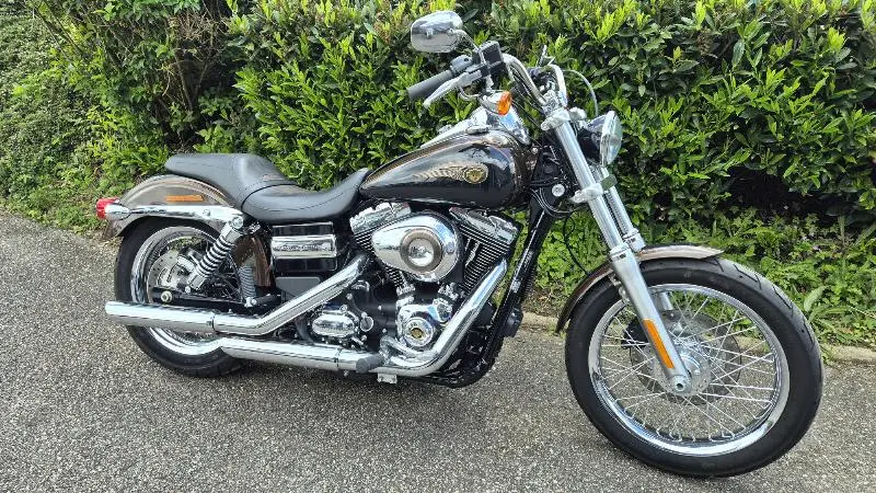 DYNA SUPER GLIDE 1584 CUSTOM