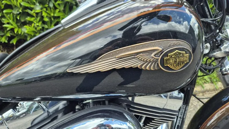 DYNA SUPER GLIDE 1584 CUSTOM