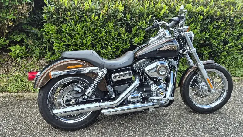 DYNA SUPER GLIDE 1584 CUSTOM
