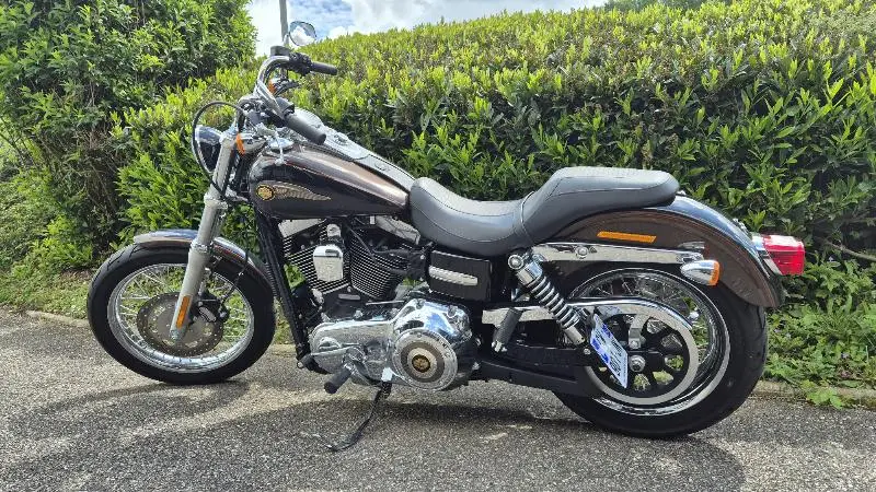 DYNA SUPER GLIDE 1584 CUSTOM