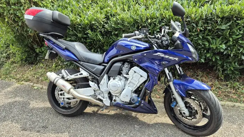 FAZER 1000