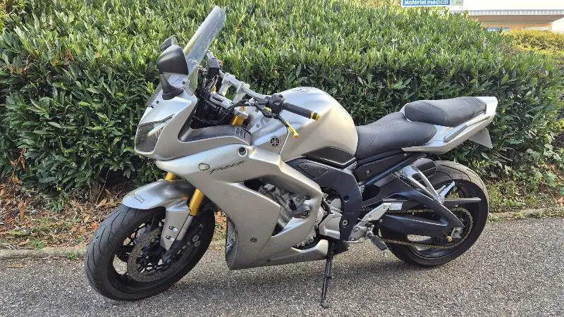 FZ1