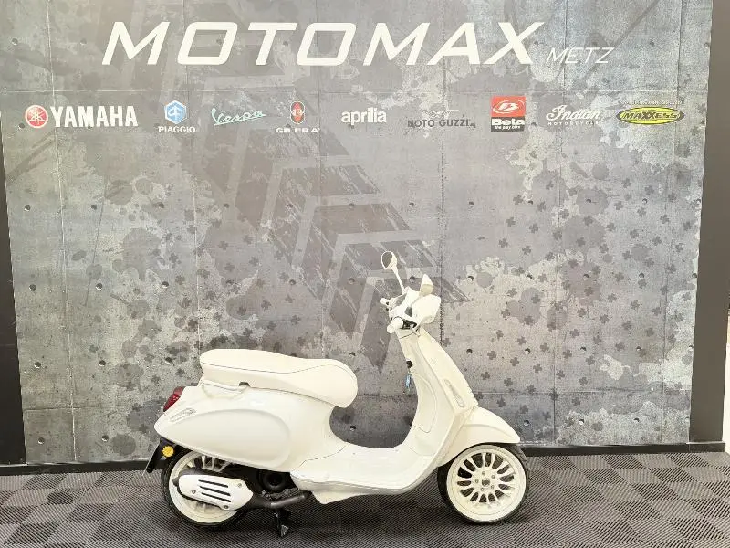 PRIMAVERA 50