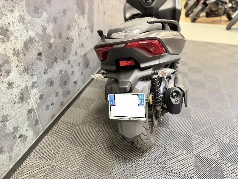 TRICITY 300