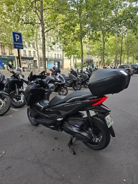 NSS FORZA 350