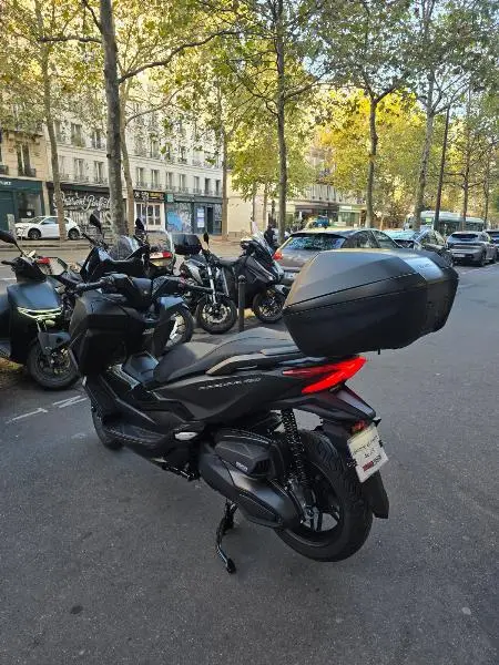 NSS FORZA 350