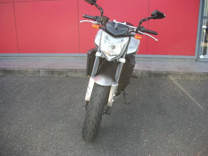 FZ1