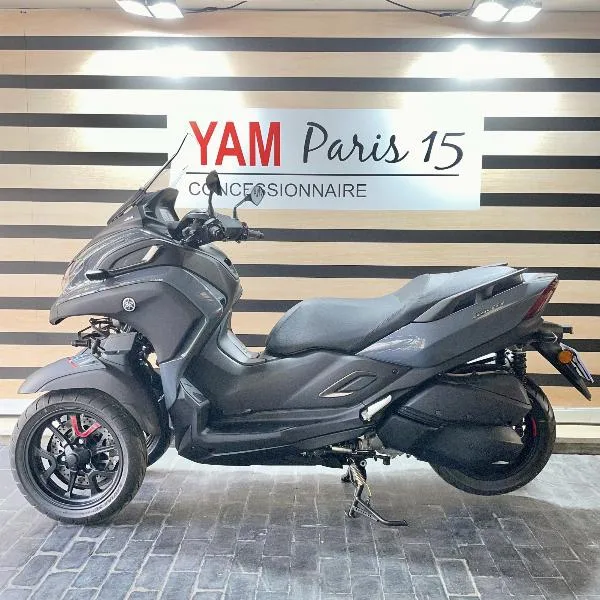 TRICITY 300