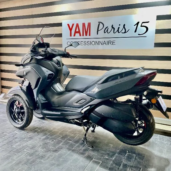 TRICITY 300