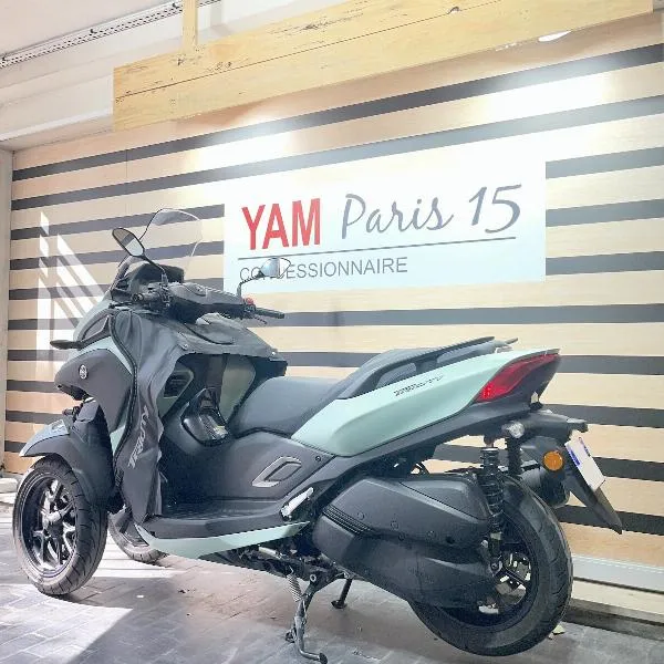 TRICITY 300