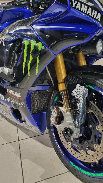R1M