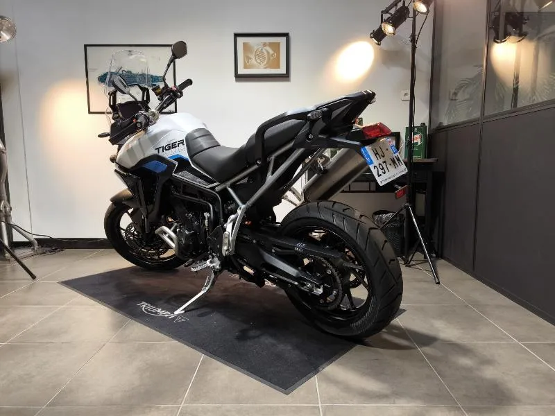 Tiger 900 Alpine Edition