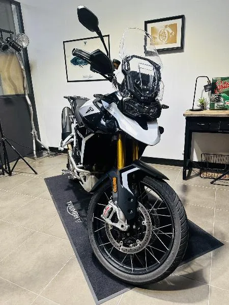 TIGER 900 RALLY PRO