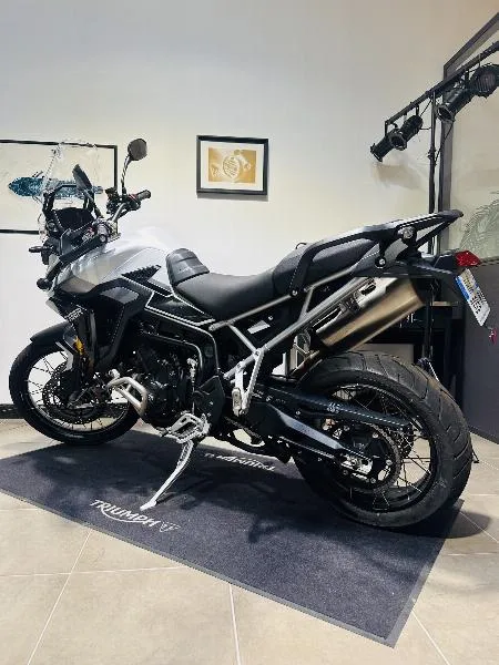 TIGER 900 RALLY PRO