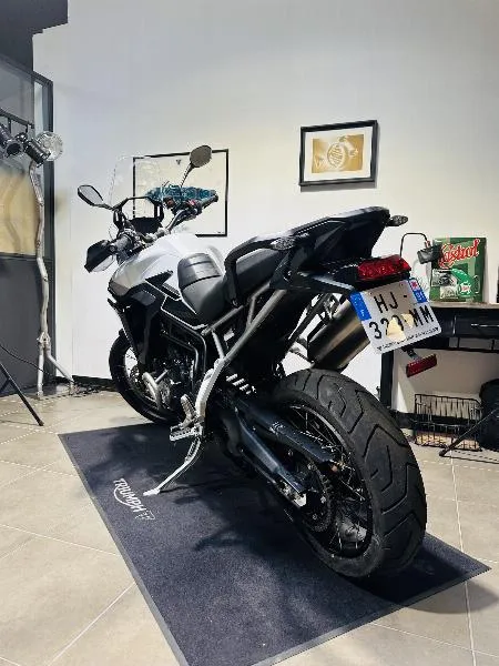 TIGER 900 RALLY PRO